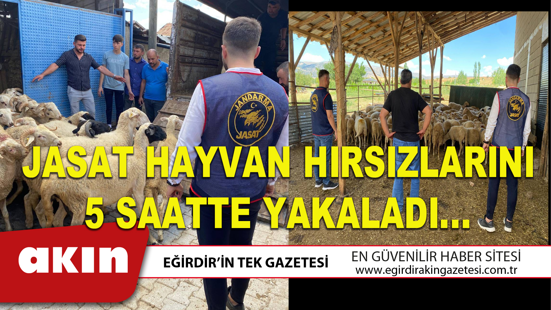 JASAT HAYVAN HIRSIZLARINI 5 SAATTE YAKALADI...