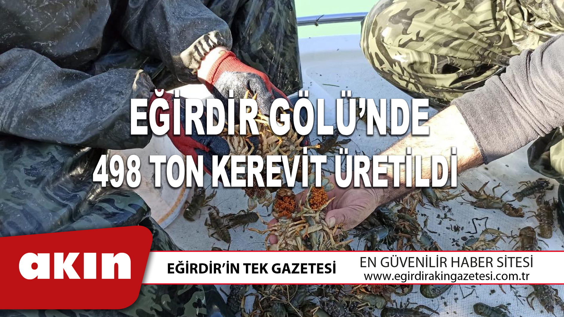 EĞİRDİR GÖLÜ’NDE 498 TON KEREVİT ÜRETİLDİ