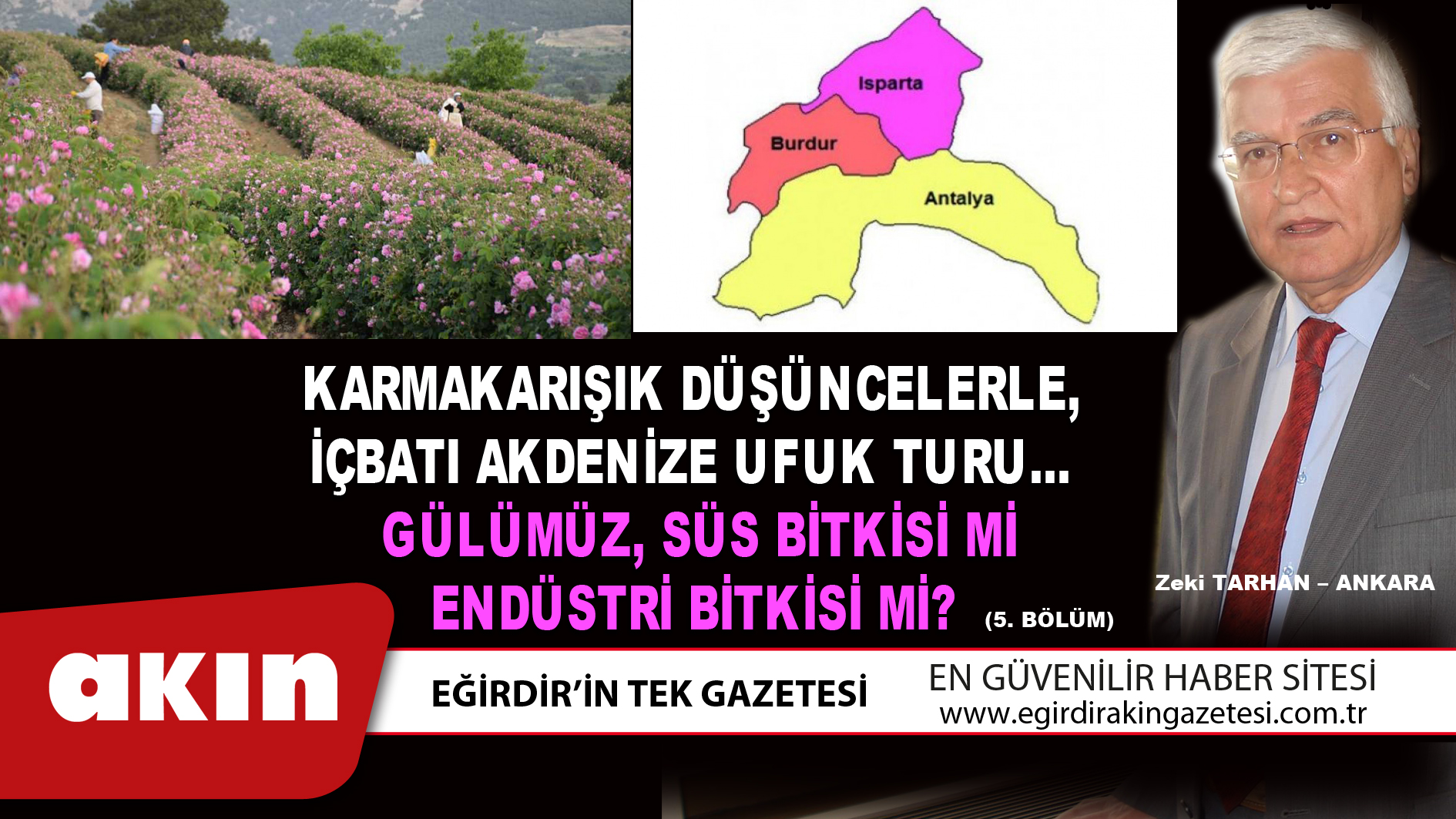 KARMAKARIŞIK DÜŞÜNCELERLE,  İÇBATI AKDENİZE UFUK TURU…  GÜLÜMÜZ, SÜS BİTKİSİ Mİ  ENDÜSTRİ BİTKİSİ Mİ? (5. Bölüm)