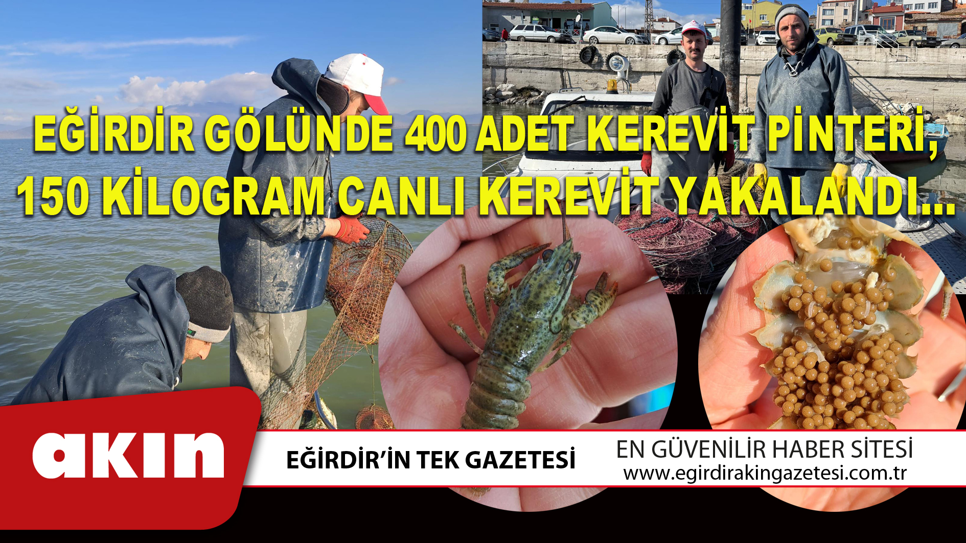 EĞİRDİR GÖLÜNDE 400 ADET KEREVİT PİNTERİ, 150 KİLOGRAM CANLI KEREVİT YAKALANDI…