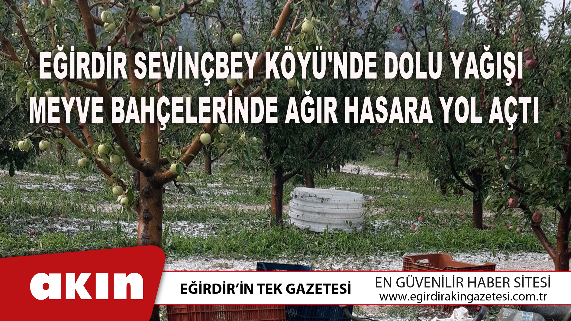 eğirdir haber,akın gazetesi,egirdir haberler,son dakika,Eğirdir Sevinçbey Köyü'nde Dolu Yağışı  Meyve Bahçelerinde Ağır Hasara Yol Açtı