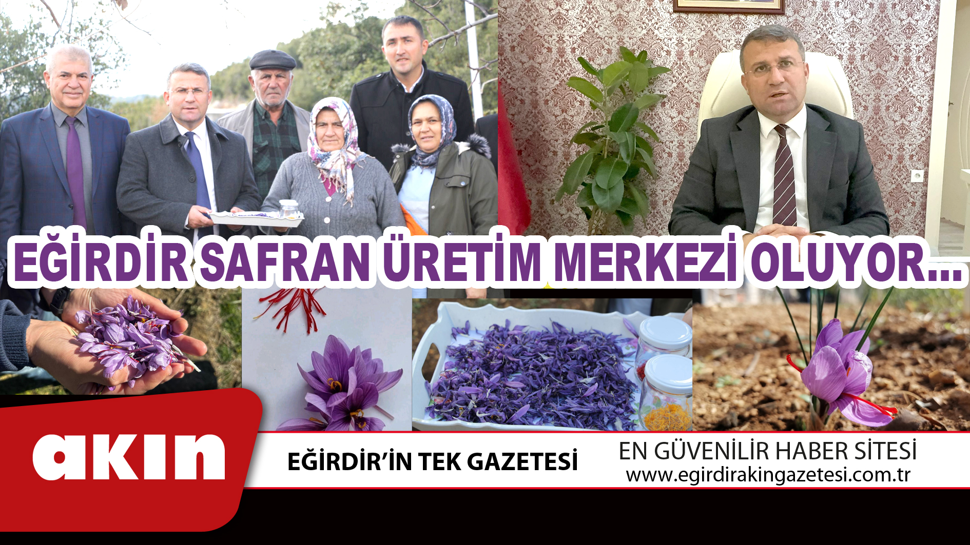 EĞİRDİR SAFRAN ÜRETİM MERKEZİ OLUYOR…