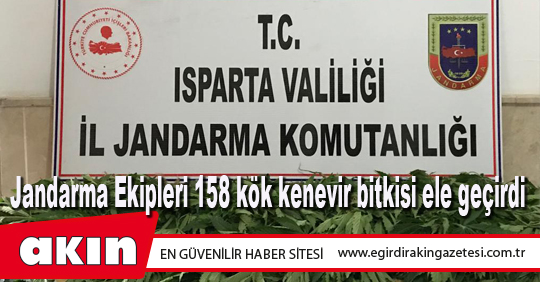 Jandarma Ekipleri 158 kök kenevir bitkisi ele geçirdi