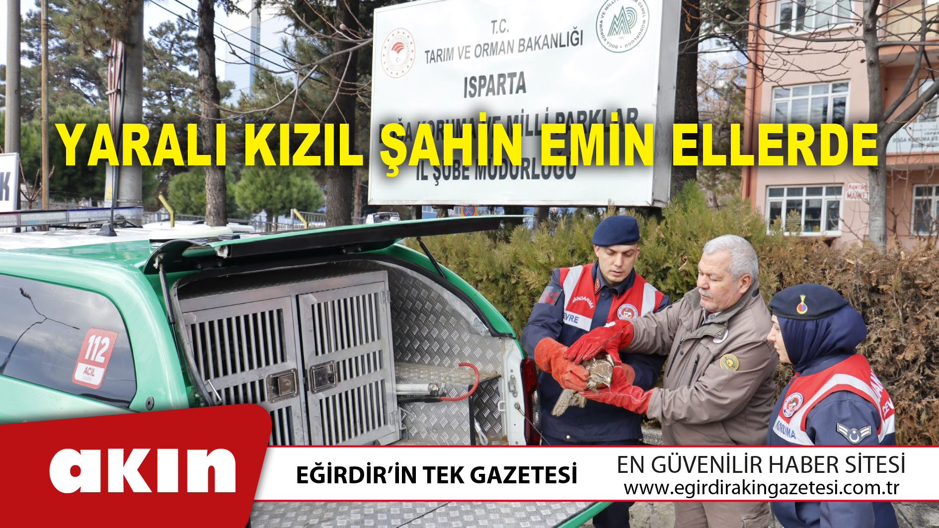 Yaralı Kızıl Şahin Emin Ellerde