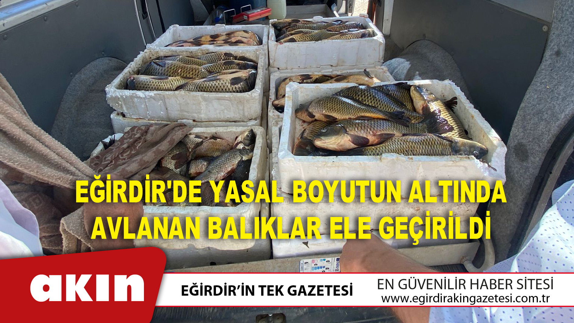 Yasal Boyutun Altında  Avlanan Balıklar Ele Geçirildi