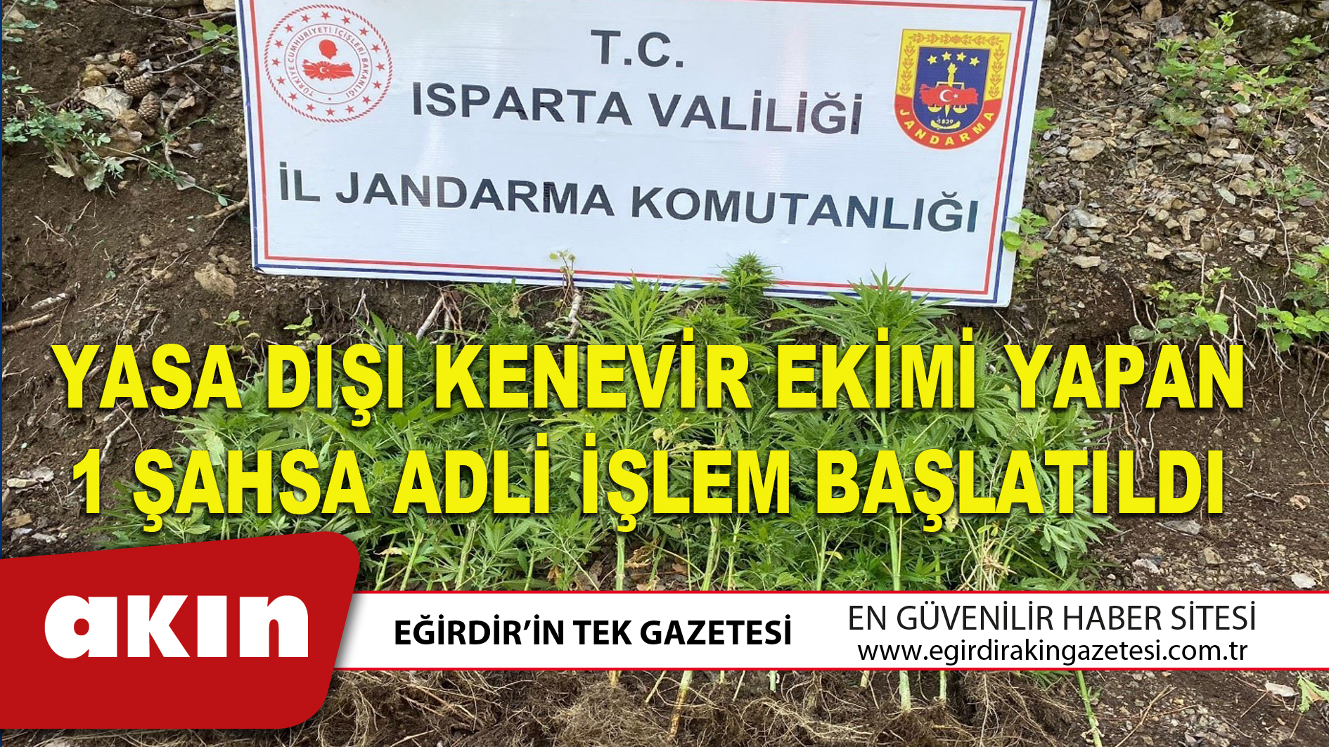 YASA DIŞI KENEVİR EKİMİ YAPAN 1 ŞAHSA ADLİ İŞLEM BAŞLATILDI