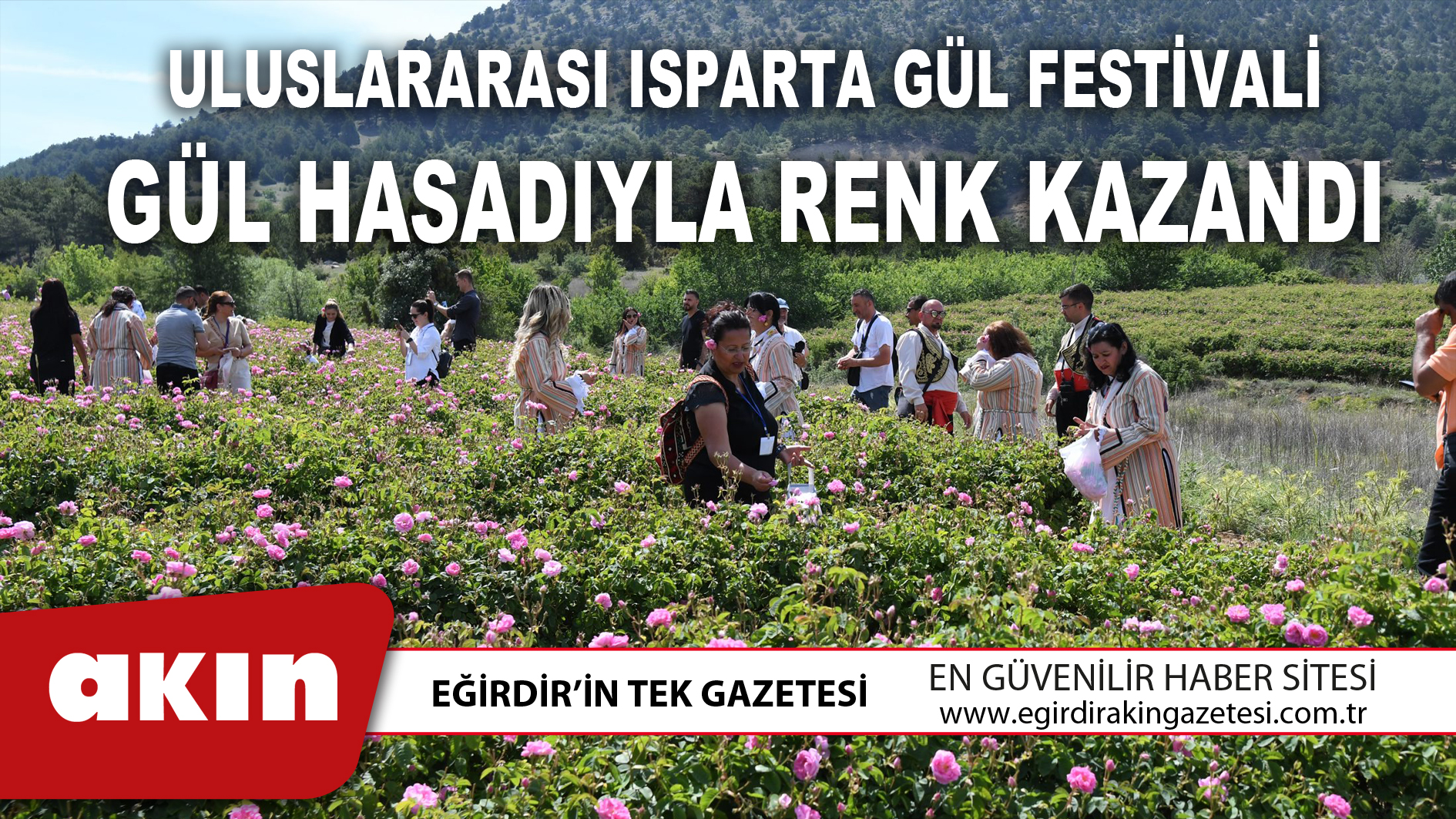 Uluslararası Isparta Gül Festivali gül hasadıyla renk kazandı