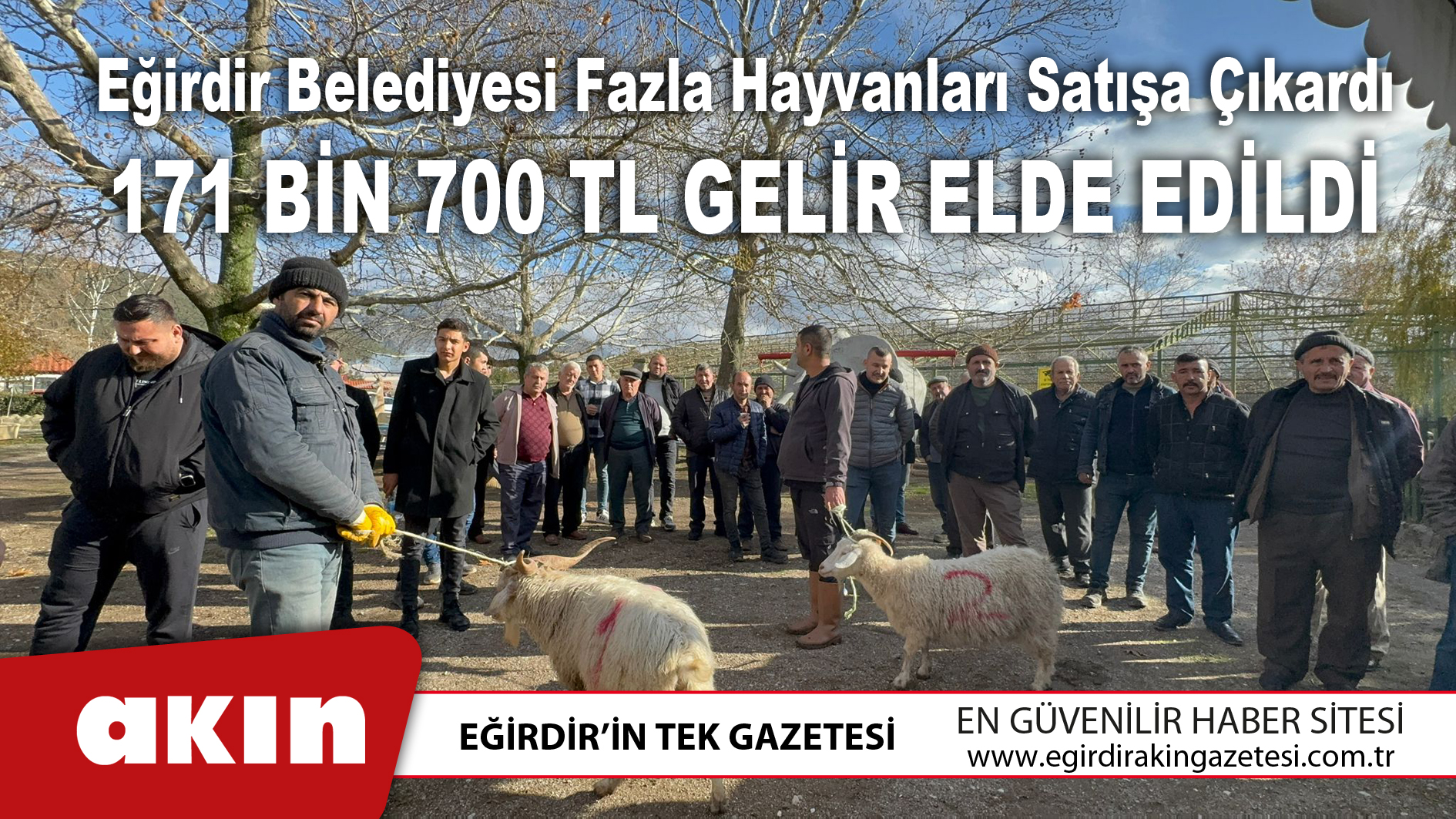 Eğirdir Belediyesi Fazla Hayvanları Satışa Çıkardı