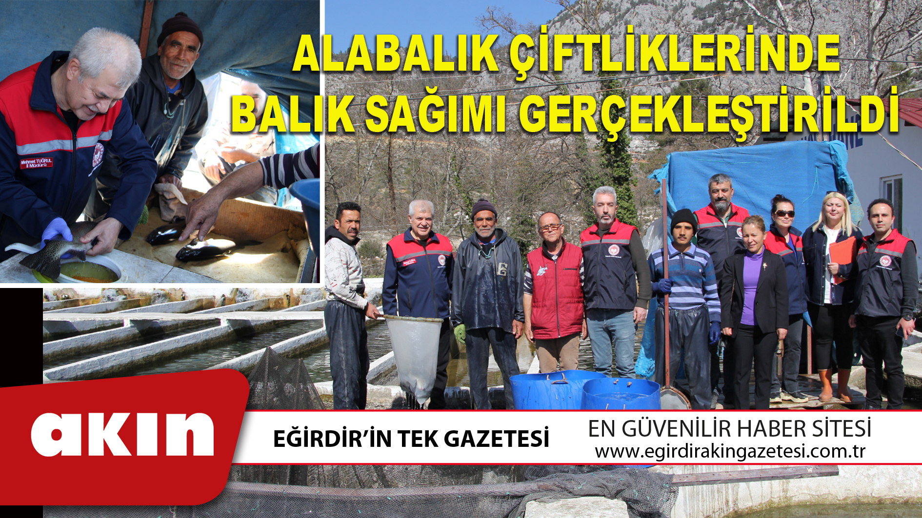 eğirdir haber,akın gazetesi,egirdir haberler,son dakika,ALABALIK ÇİFTLİKLERİNDE BALIK SAĞIMI GERÇEKLEŞTİRİLDİ