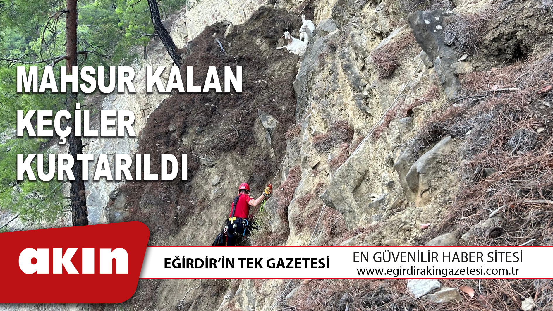 eğirdir haber,akın gazetesi,egirdir haberler,son dakika,Mahsur Kalan Keçiler Kurtarıldı