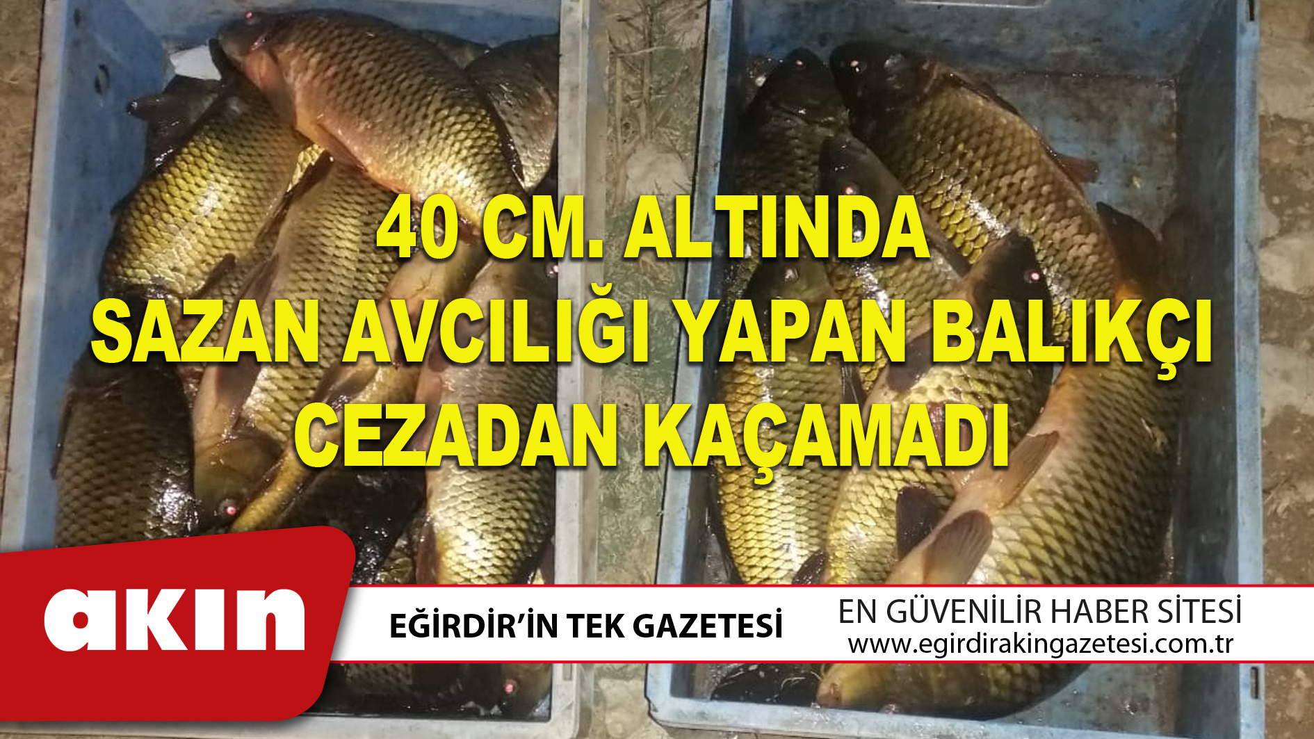 eğirdir haber,akın gazetesi,egirdir haberler,son dakika,40 CM. ALTINDA SAZAN AVCILIĞI YAPAN BALIKÇI CEZADAN KAÇAMADI