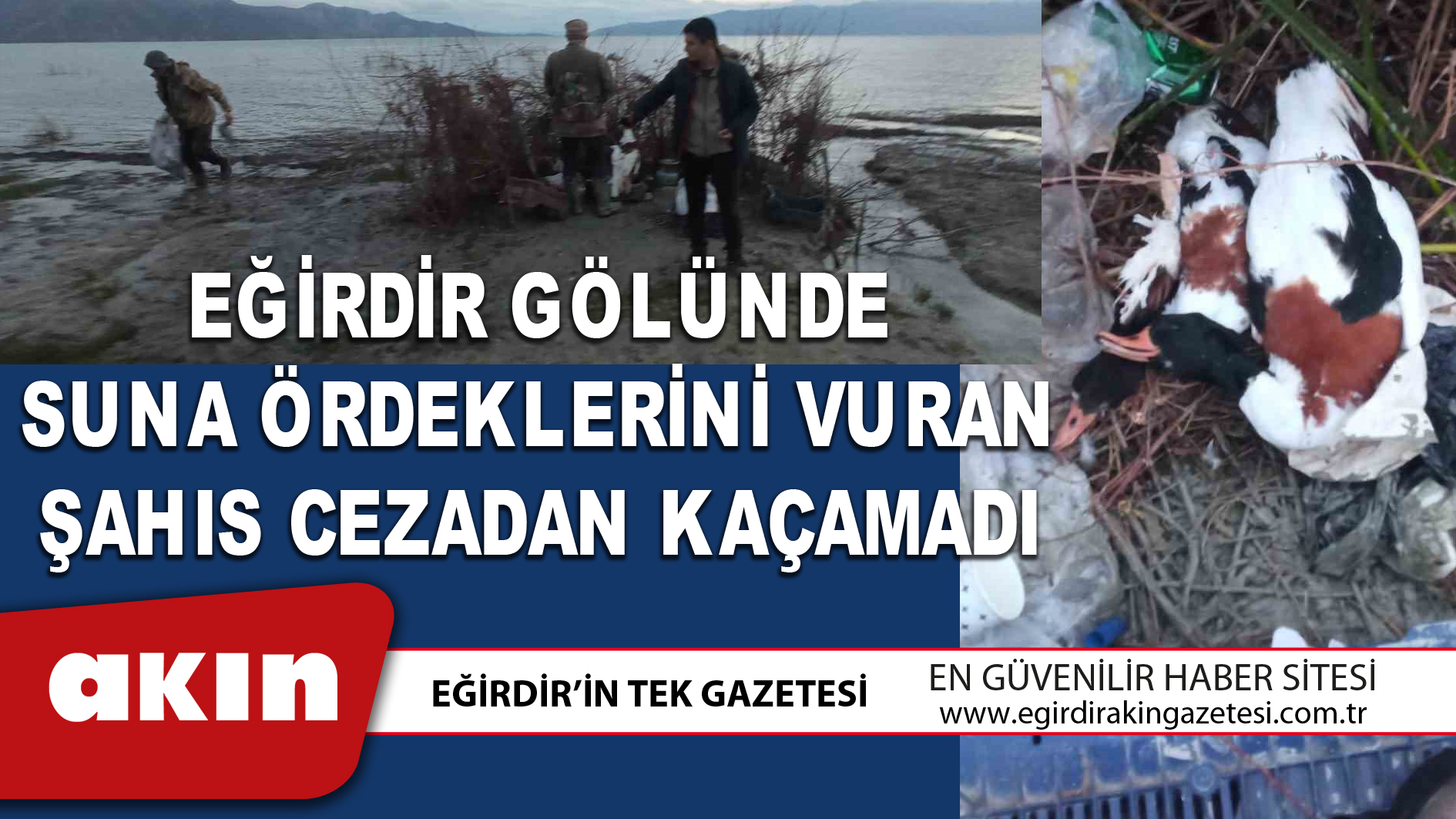 EĞİRDİR GÖLÜNDE SUNA ÖRDEKLERİNİ VURAN ŞAHIS CEZADAN KAÇAMADI