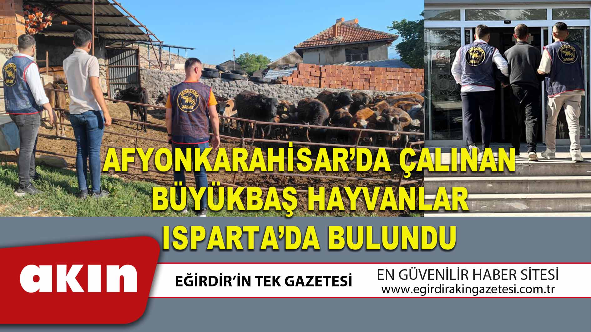 AFYONKARAHİSAR’DA ÇALINAN BÜYÜKBAŞ HAYVANLAR ISPARTA’DA BULUNDU