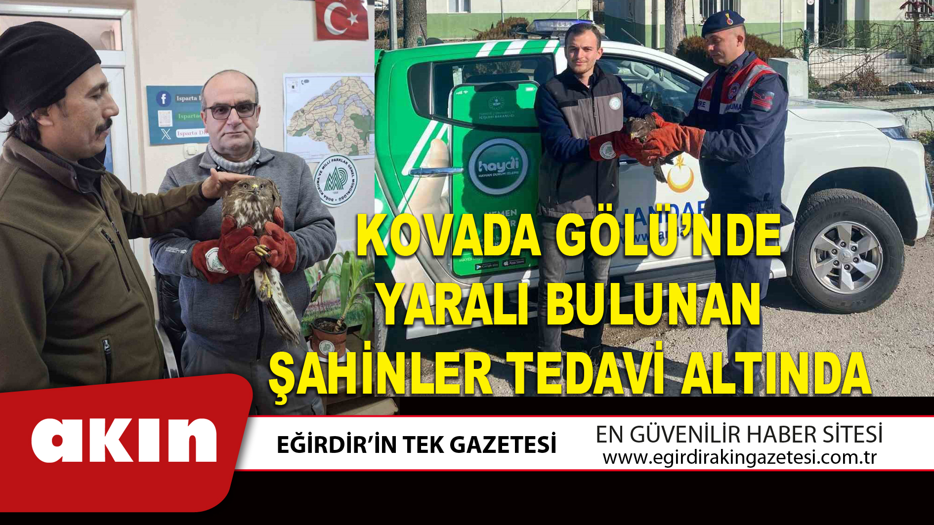 KOVADA GÖLÜ’NDE YARALI BULUNAN ŞAHİNLER TEDAVİ ALTINDA