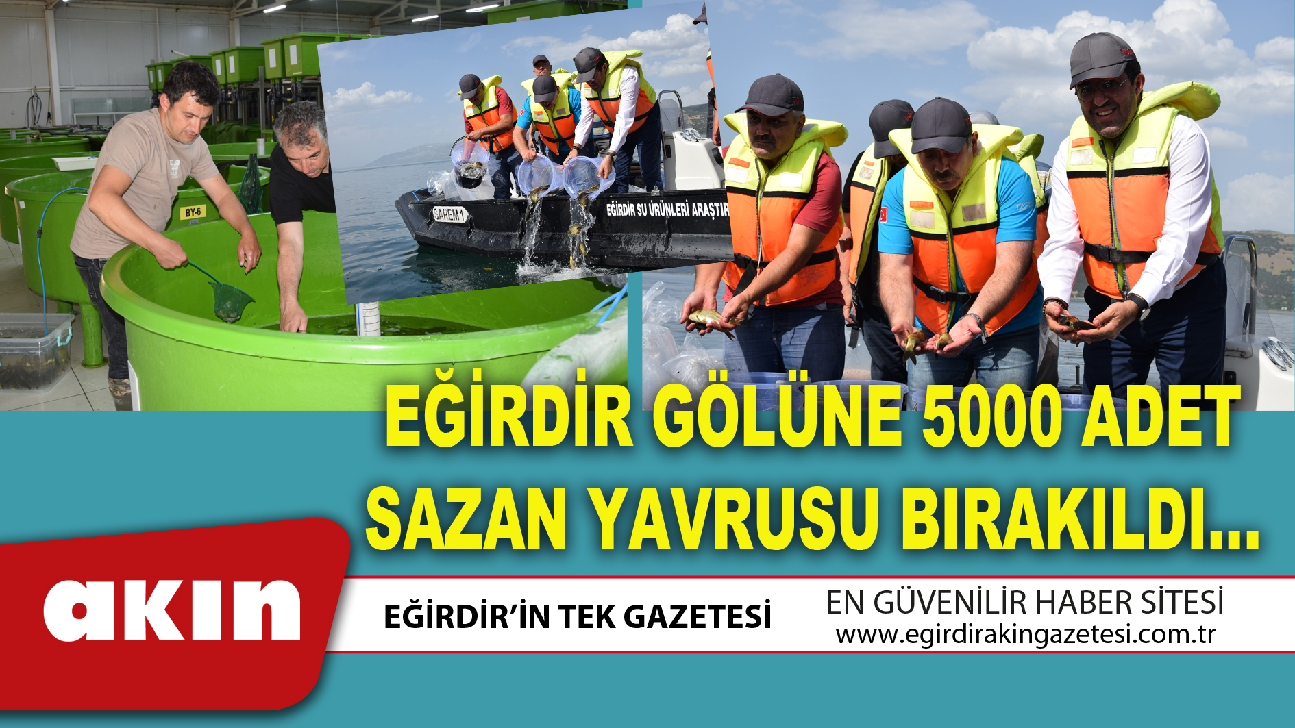 EĞİRDİR GÖLÜNE 5000 ADET SAZAN YAVRUSU BIRAKILDI…