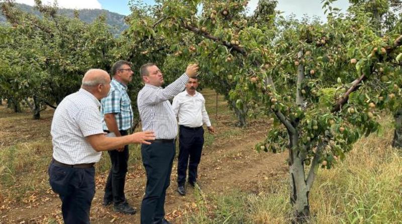 eğirdir,egirdir haber,akın gazetesi