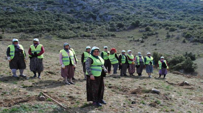 eğirdir,egirdir haber,akın gazetesi