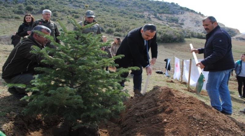 eğirdir,egirdir haber,akın gazetesi