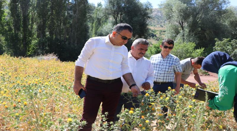 eğirdir,egirdir haber,akın gazetesi