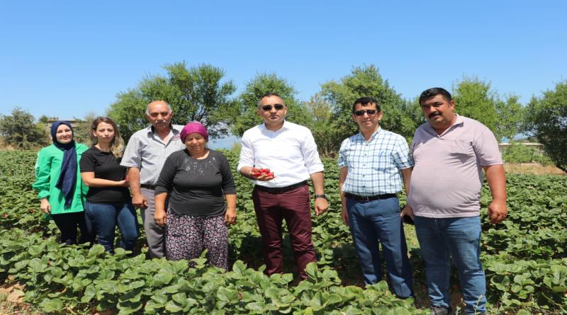 eğirdir,egirdir haber,akın gazetesi