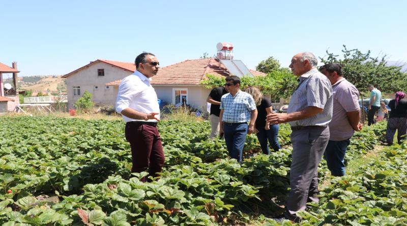 eğirdir,egirdir haber,akın gazetesi