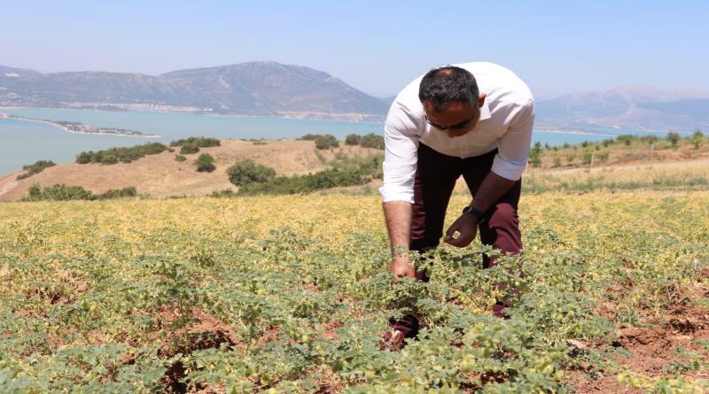 eğirdir,egirdir haber,akın gazetesi