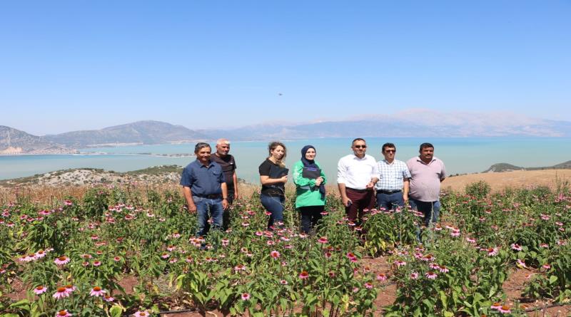 eğirdir,egirdir haber,akın gazetesi