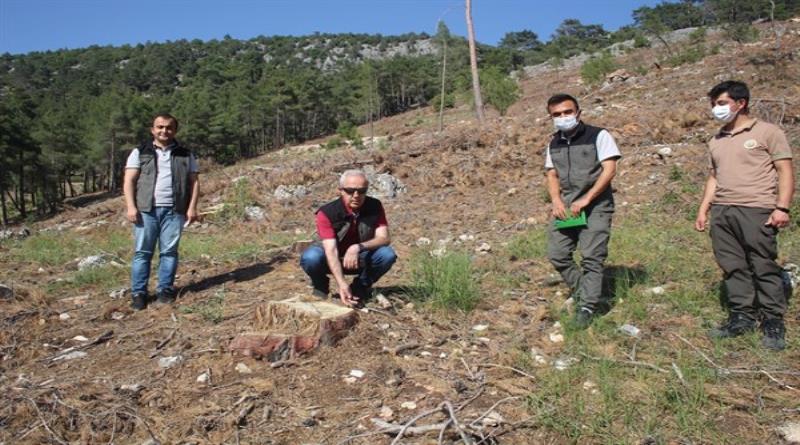 eğirdir,egirdir haber,akın gazetesi