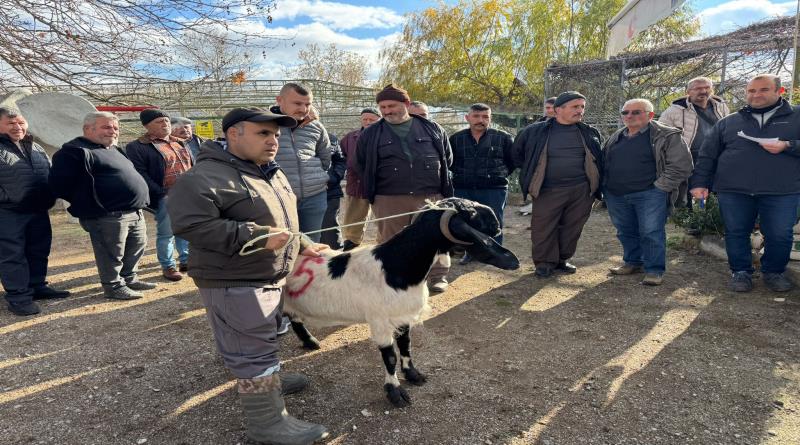 eğirdir,egirdir haber,akın gazetesi